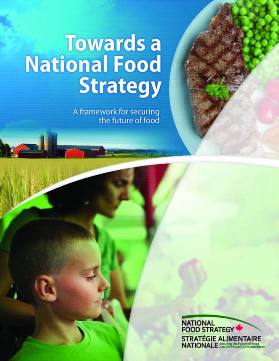 CFA_National-Food-Strategy_cover_min