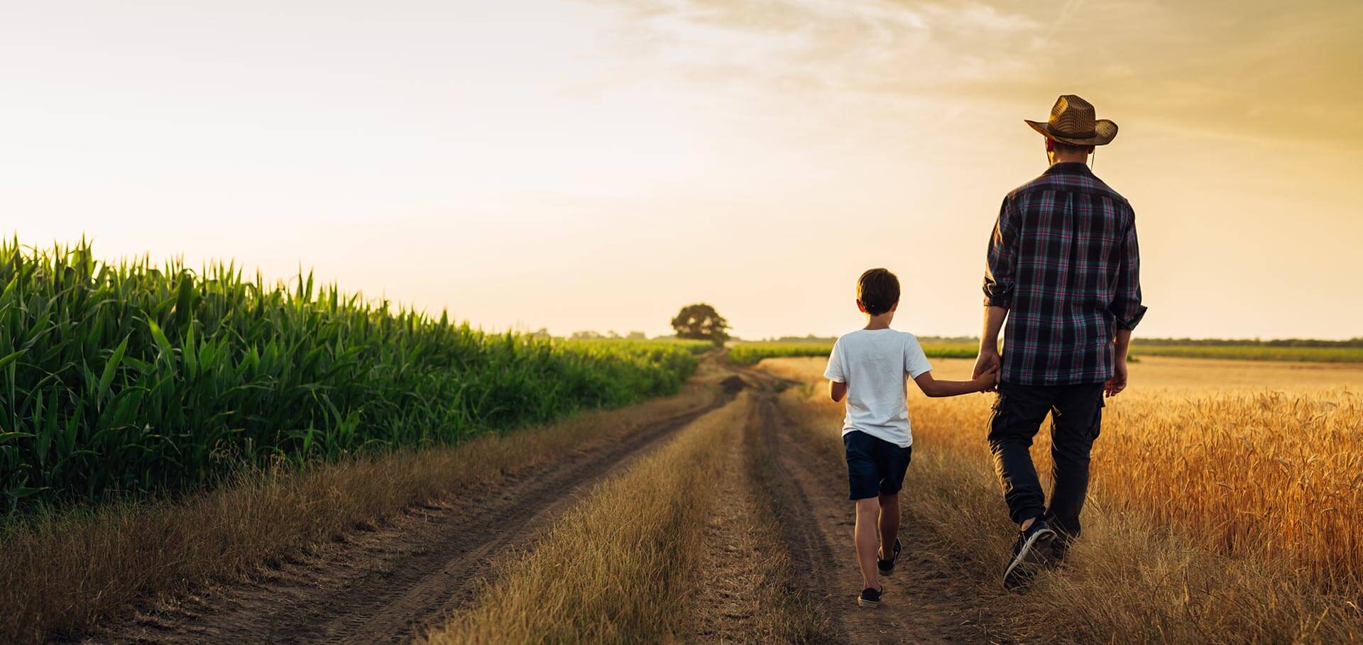 cfa-feature-bg_02_min