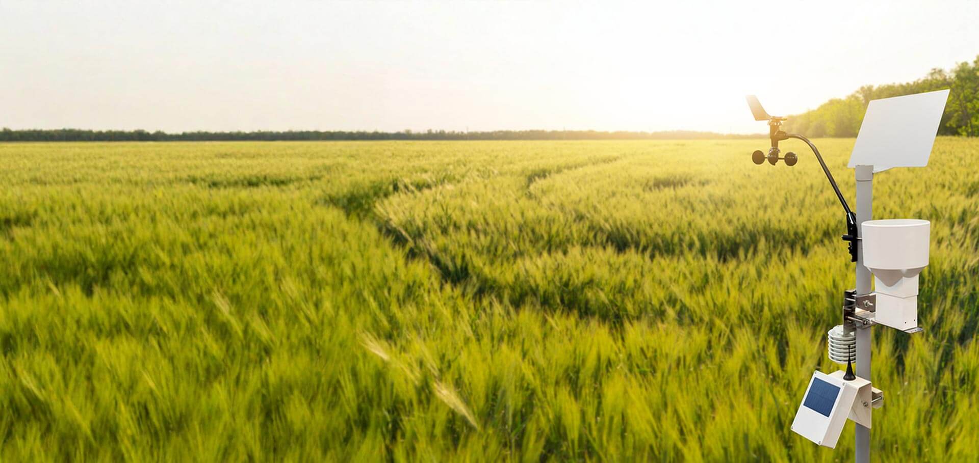 cfa-feature-bg_04_min