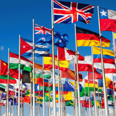 International Trade and Diversification